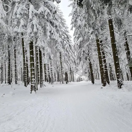Harz Mit Herz, Infrarotsauna, E-kamin, Herzdusche גוסלר