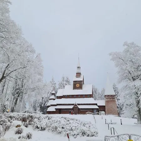 Harz Mit Herz, Infrarotsauna, E-kamin, Herzdusche Goslar