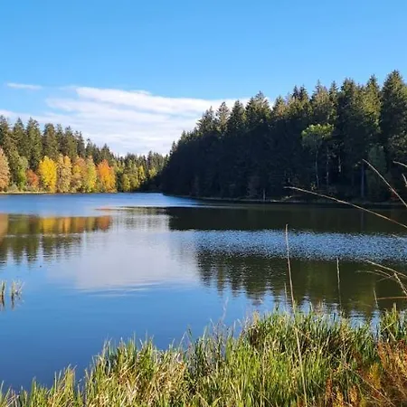 Harz Mit Herz, Infrarotsauna, E-kamin, Herzdusche Apartmán *