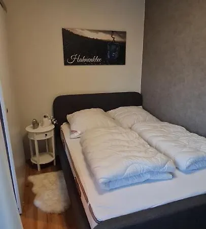 Harz Mit Herz, Infrarotsauna, E-kamin, Herzdusche Apartment *