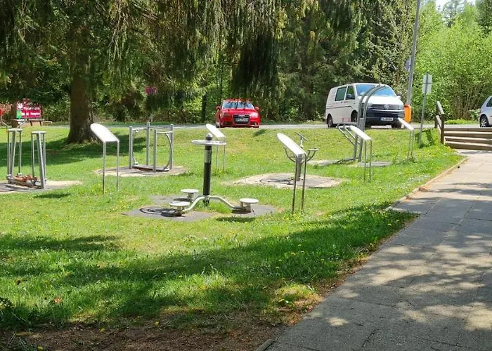 Harz Mit Herz, Infrarotsauna, E-kamin, Herzdusche *