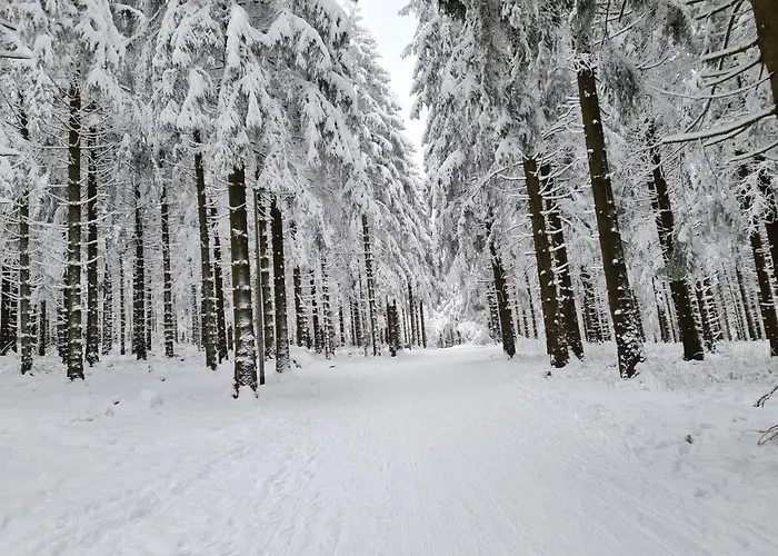 Harz Mit Herz, Infrarotsauna, E-kamin, Herzdusche Goslar