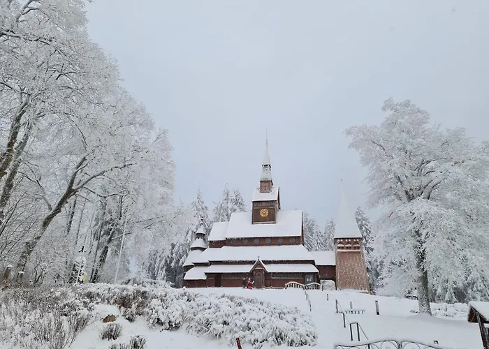 Harz Mit Herz, Infrarotsauna, E-kamin, Herzdusche Goslar