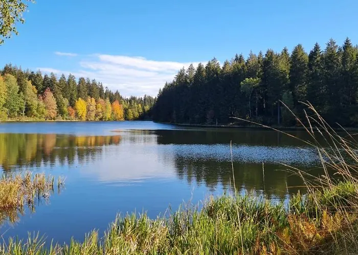 Harz Mit Herz, Infrarotsauna, E-kamin, Herzdusche Daire *